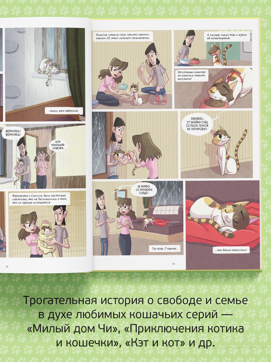 Промо материал к книге "Брина. Стая Кошачьего Солнца" №4