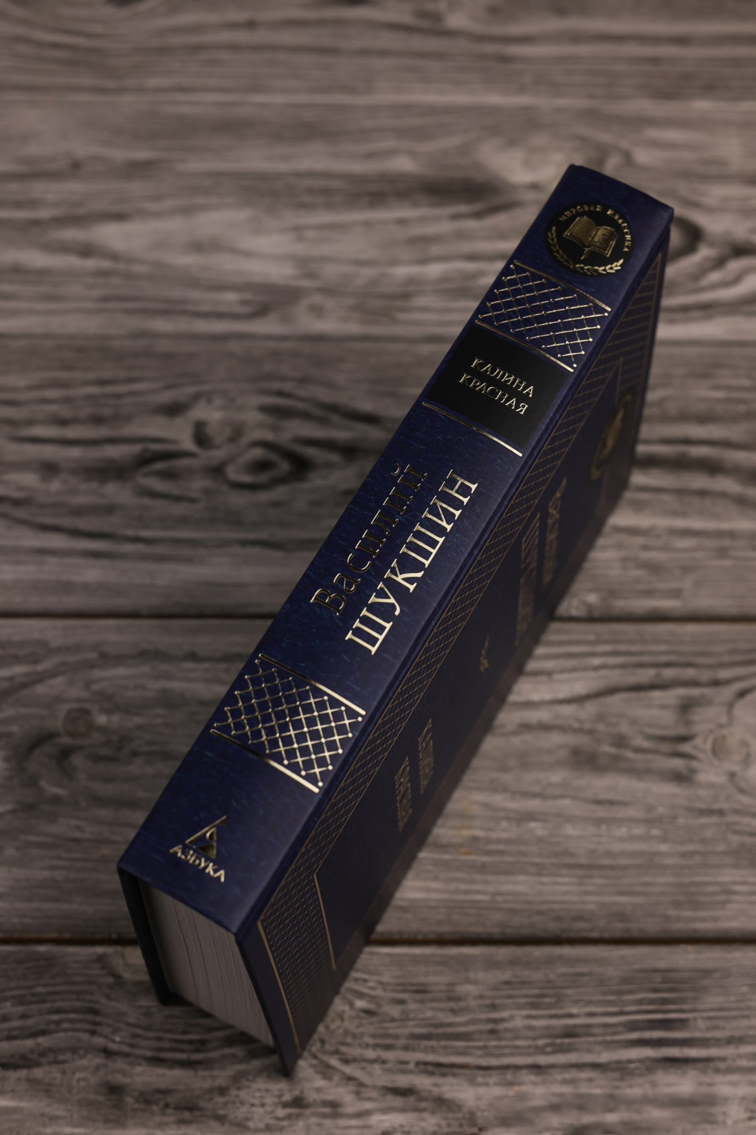 Промо материал к книге "Калина красная (Мировая классика)" №7