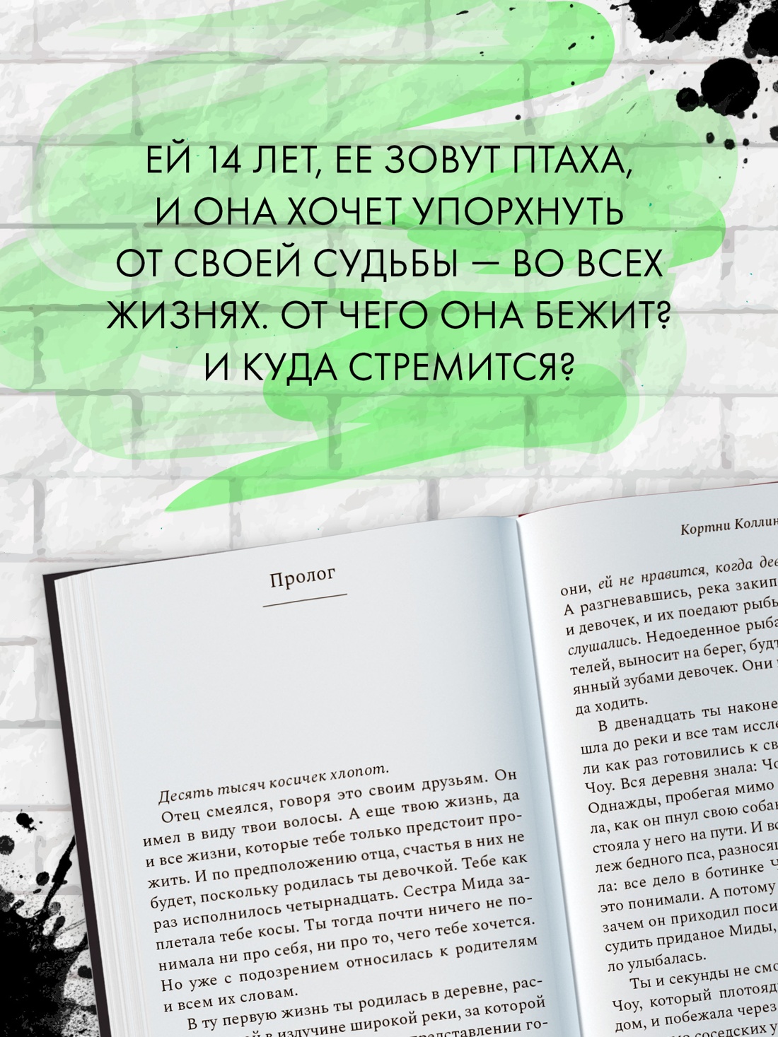 Промо материал к книге "Птаха" №2