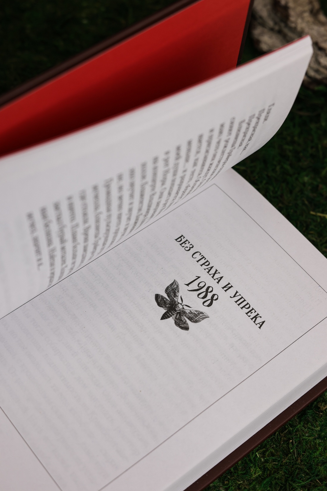 Промо материал к книге "Голодный дом (Настроение читать)" №14