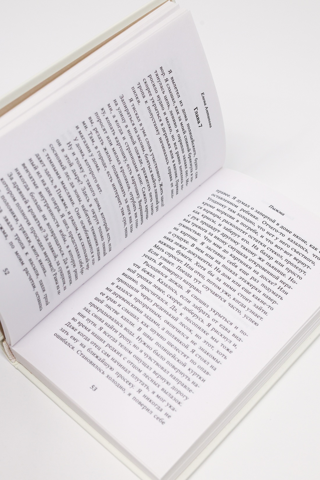 Промо материал к книге "Пыжма" №10