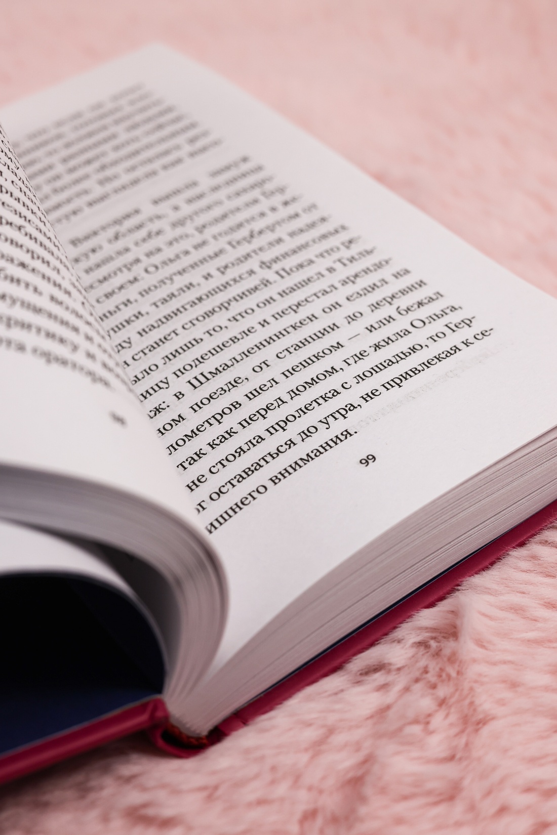 Промо материал к книге "Ольга (Настроение читать)" №8