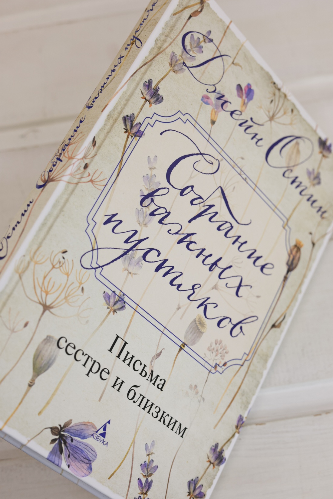 Промо материал к книге "Собрание важных пустяков. Письма сестре и близким" №7