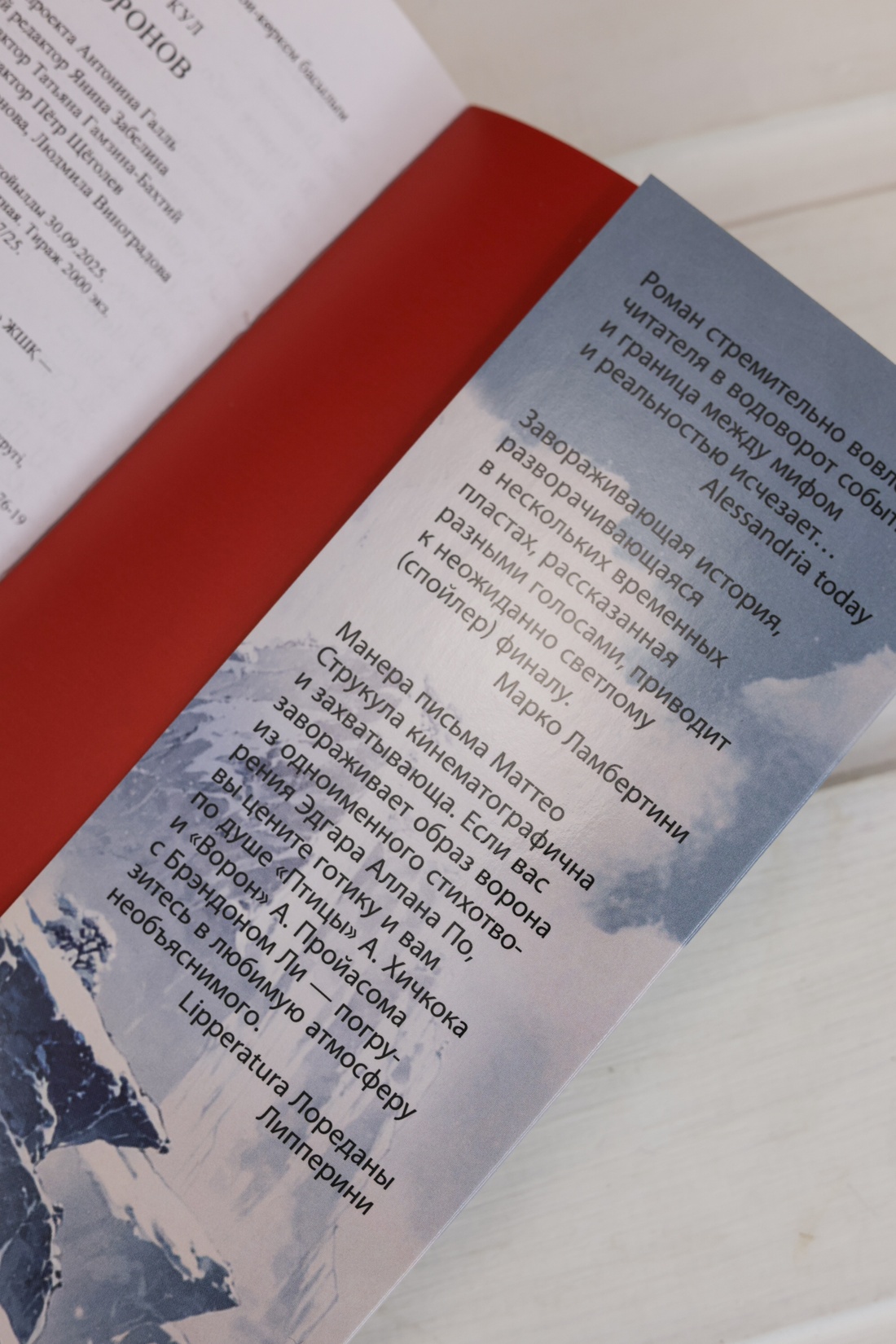 Промо материал к книге "Семь воронов" №13