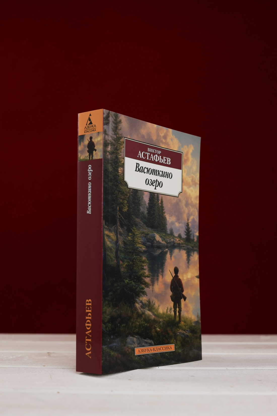 Промо материал к книге "Васюткино озеро" №5