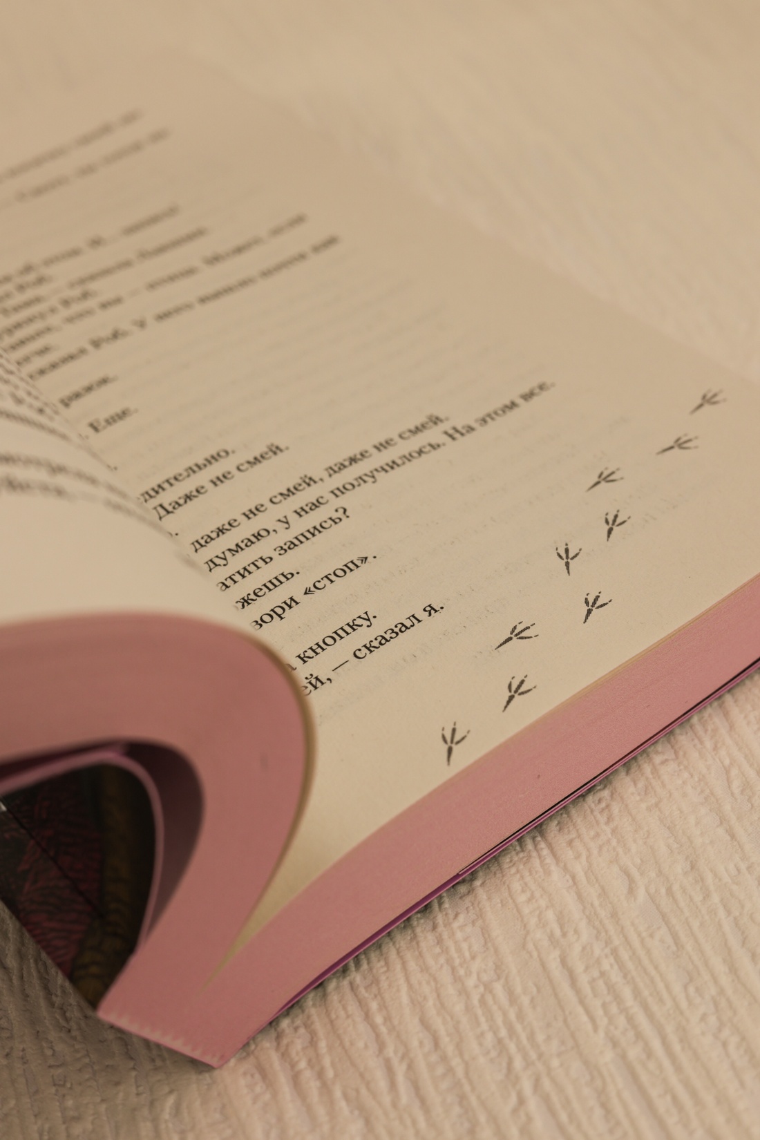 Промо материал к книге "Мир глазами Тамы" №13