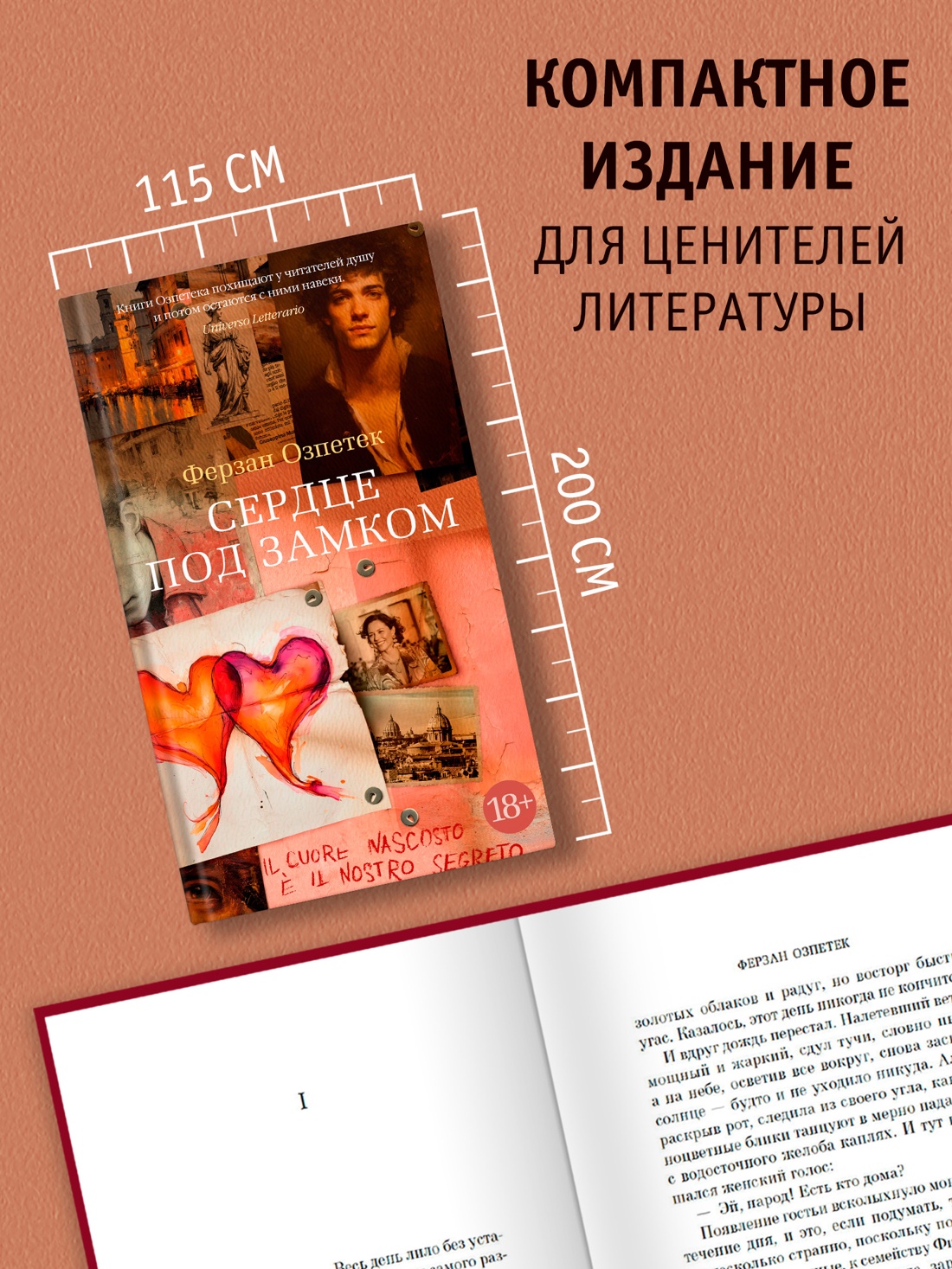 Промо материал к книге "Сердце под замком" №1