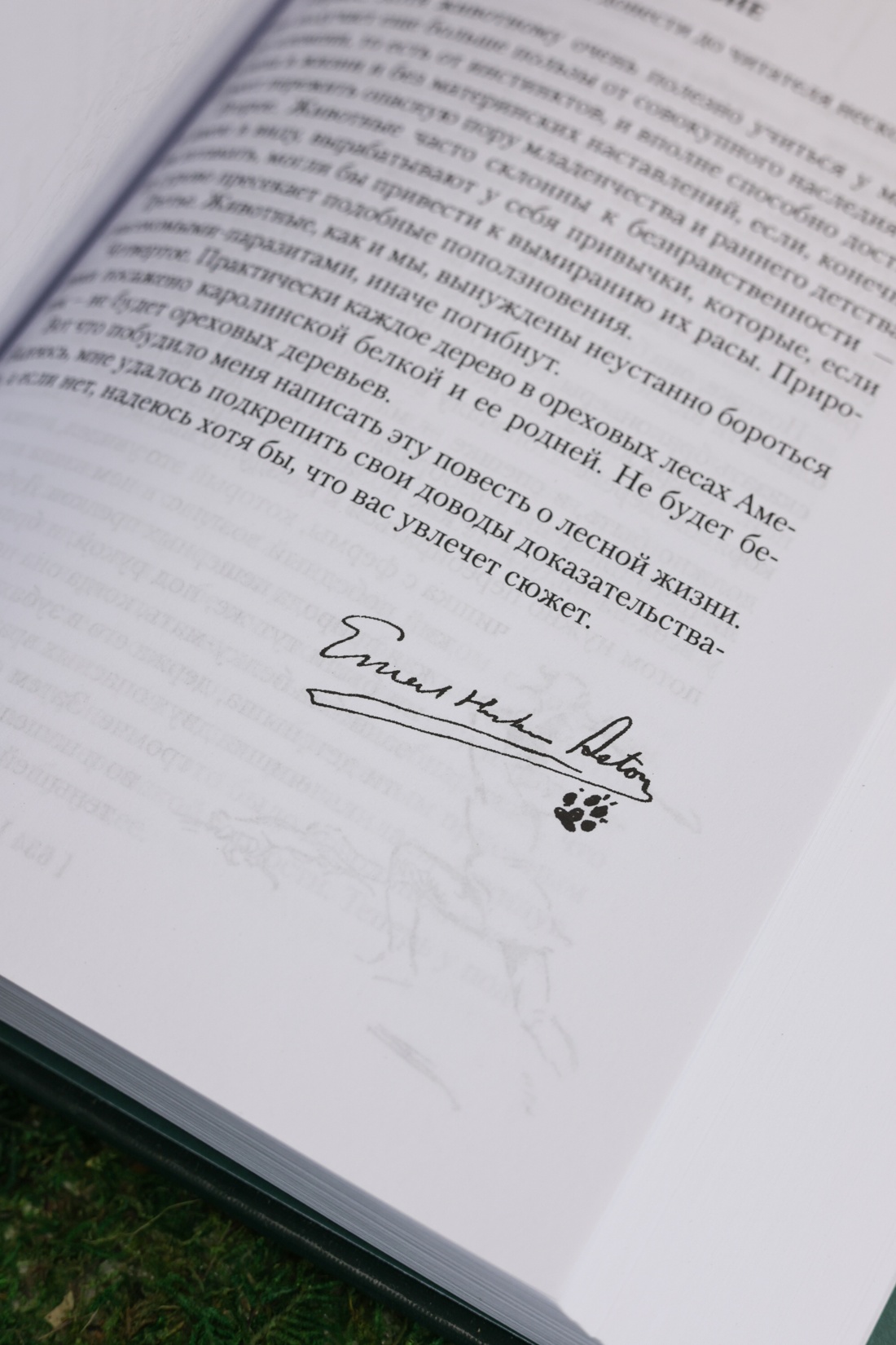 Промо материал к книге "Рольф в лесах. Лесные рассказы" №10