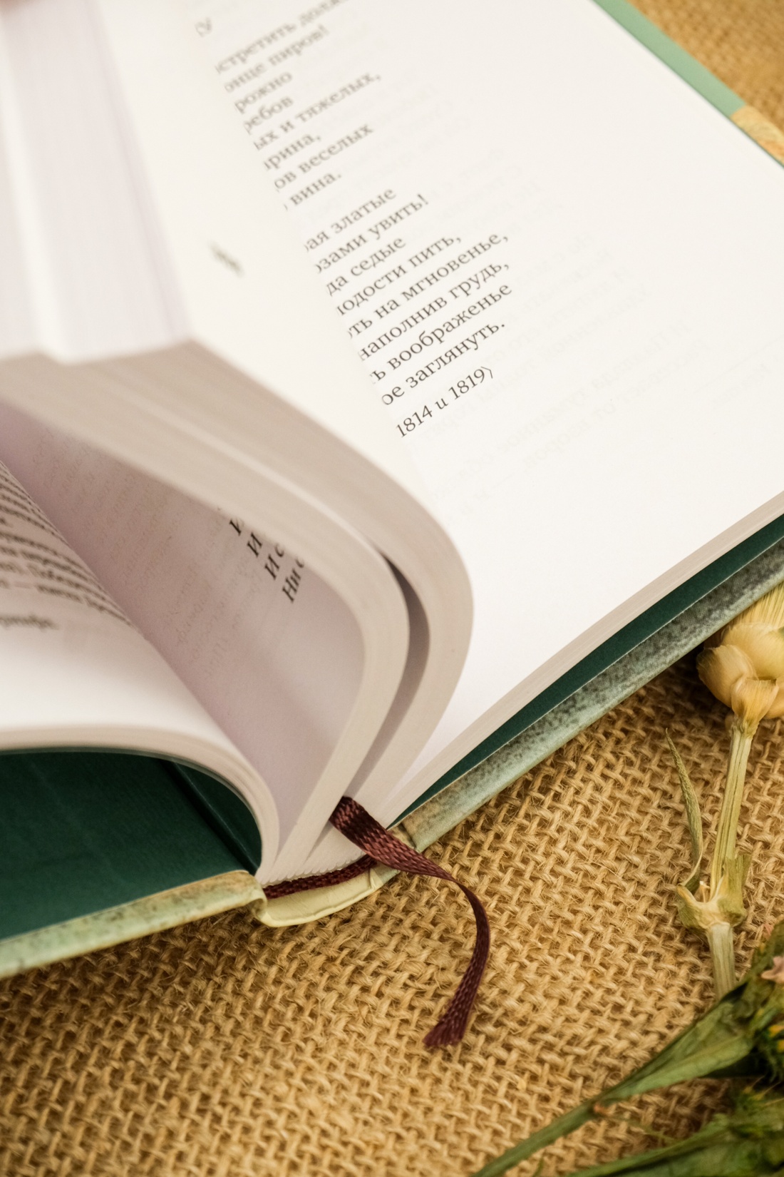 Промо материал к книге "Золотой век русской поэзии" №2