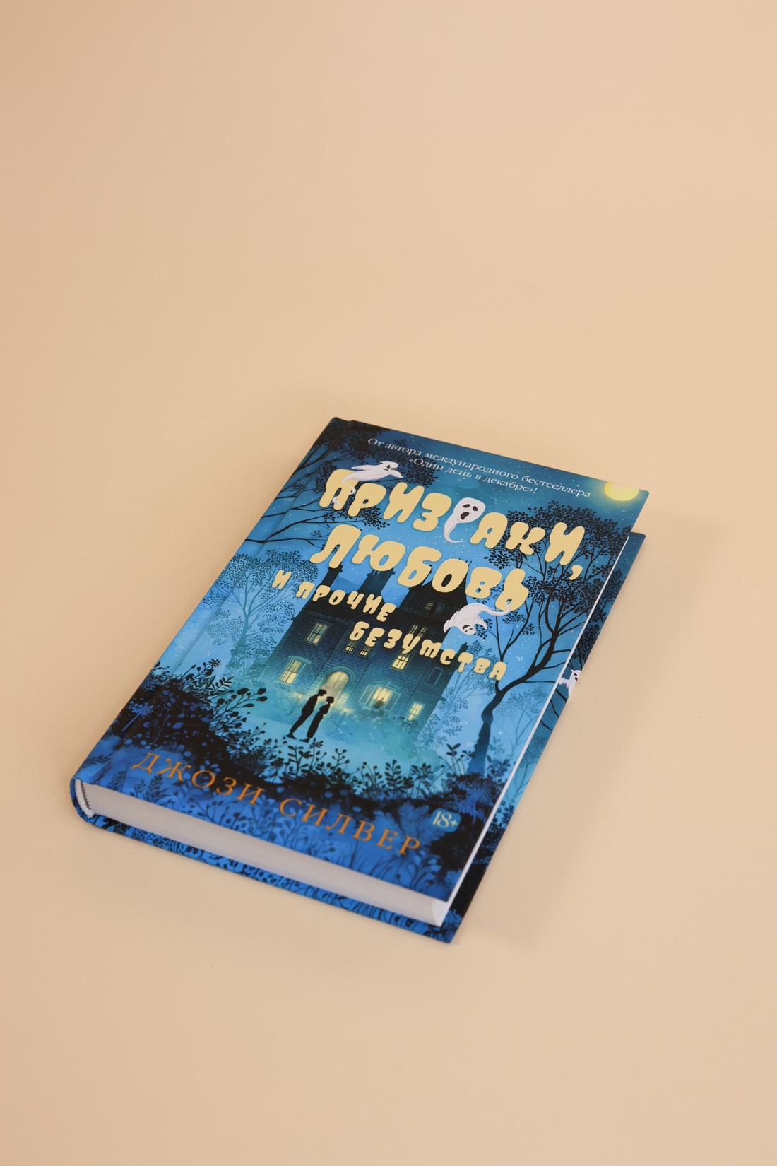 Промо материал к книге "Призраки, любовь и прочие безумства" №7