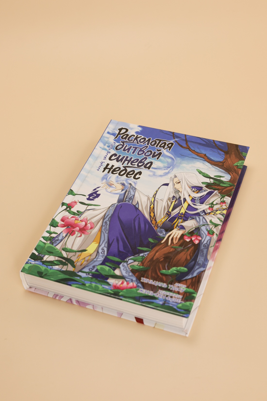 Промо материал к книге "Расколотая битвой синева небес. Книга 2" №11