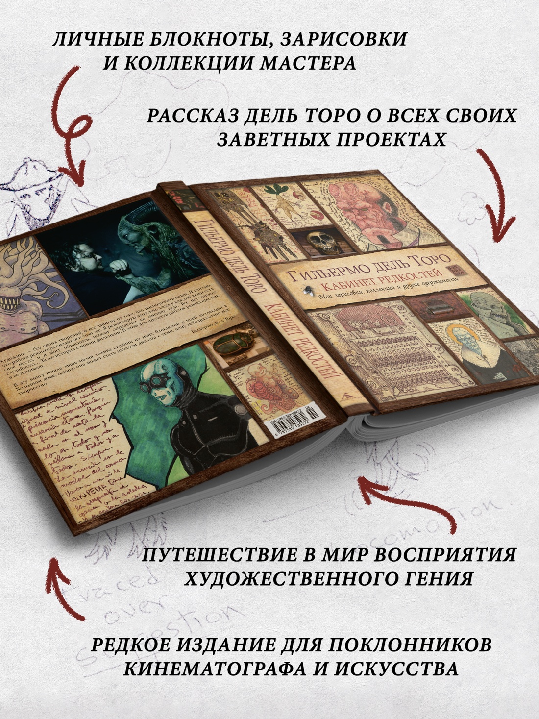 Промо материал к книге "Кабинет редкостей. Мои зарисовки, коллекции и другие одержимости" №2