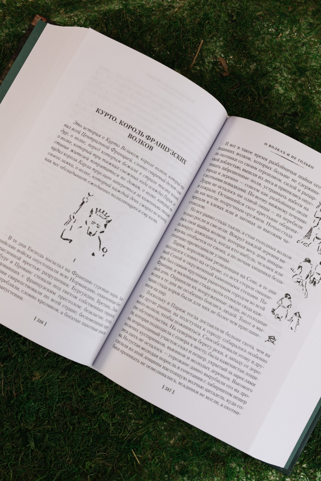 Промо материал к книге "Рольф в лесах. Лесные рассказы" №8