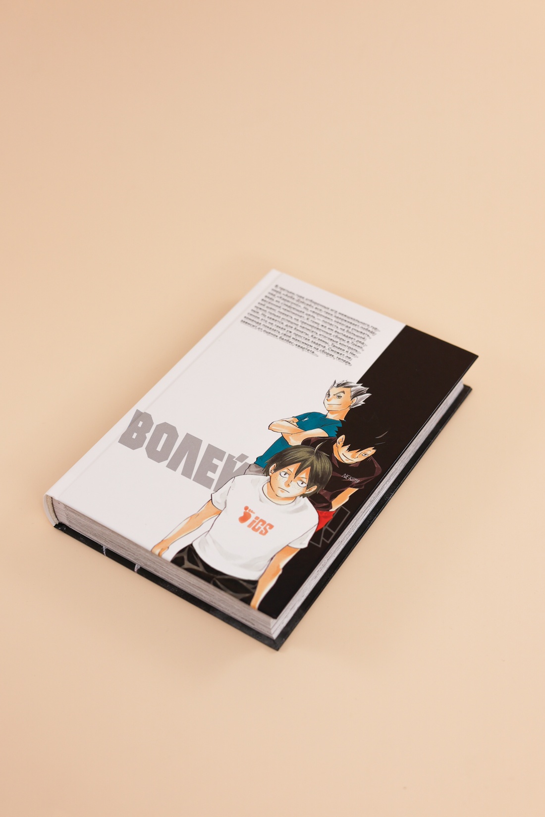 Промо материал к книге "Волейбол! Книга 5. Желания. Восход луны" №11