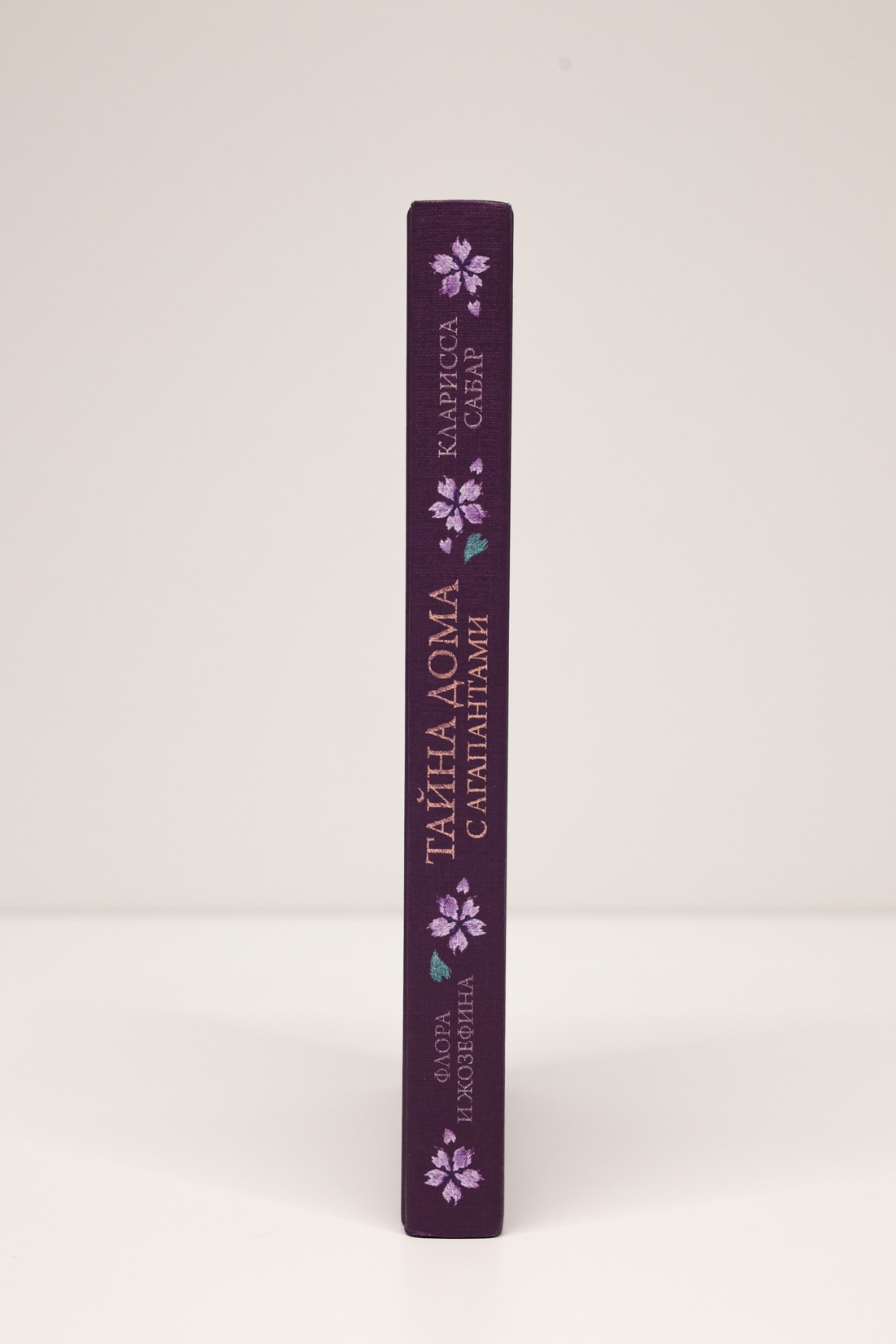 Промо материал к книге "Тайна дома с агапантами: Флора и Жозефина" №7
