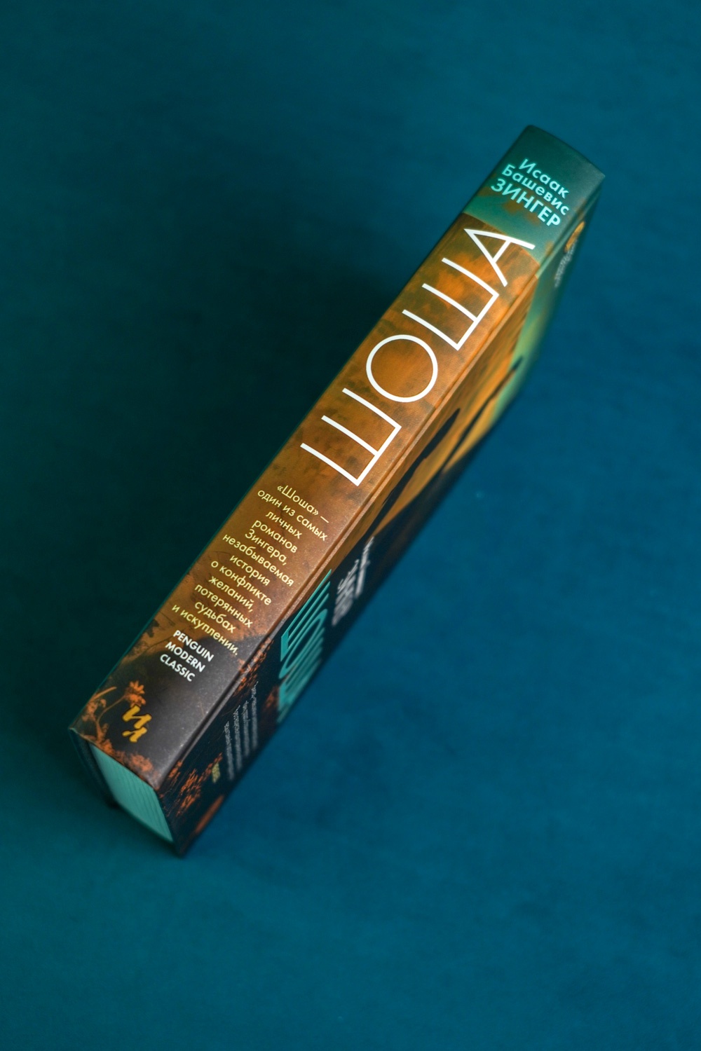 Промо материал к книге "Шоша (твердый)" №6