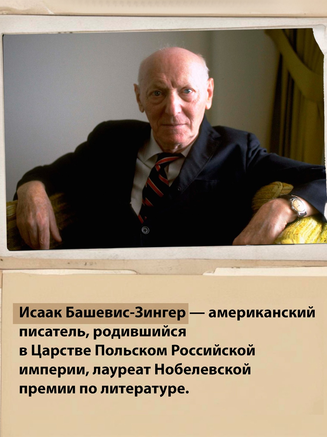 Промо материал к книге "Шоша (мягкая обложка)" №2
