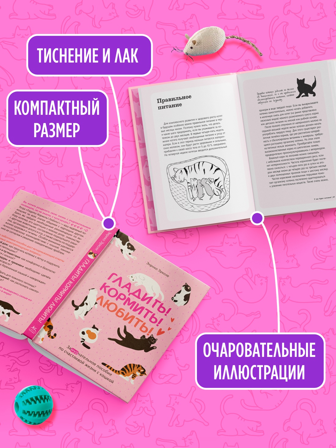 Промо материал к книге "Гладить! Кормить! Любить! Замурчательное пособие по счастливой жизни с кошкой" №2