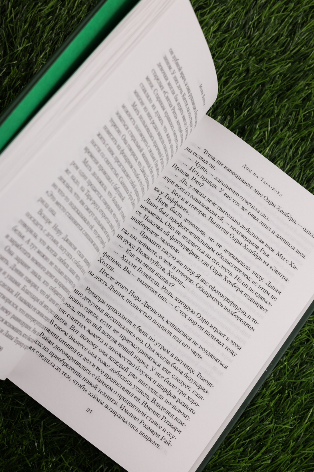 Промо материал к книге "Дом на Тара-роуд" №10