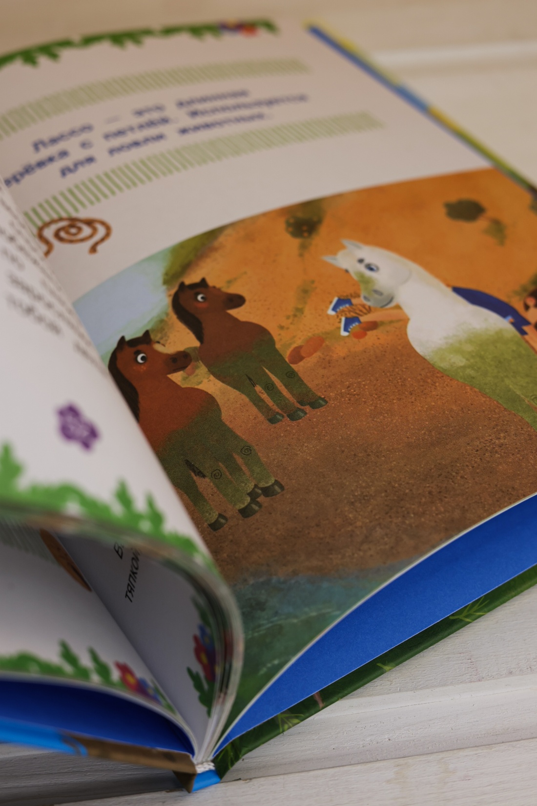 Промо материал к книге "Ася и Вася. Миссия с хвостиками" №8