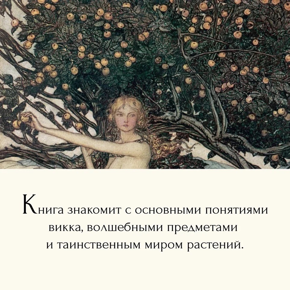 Промо материал к книге "Магия трав и волшебный бестиарий. Сборный комплект из 2-х книг с шоппером" №8