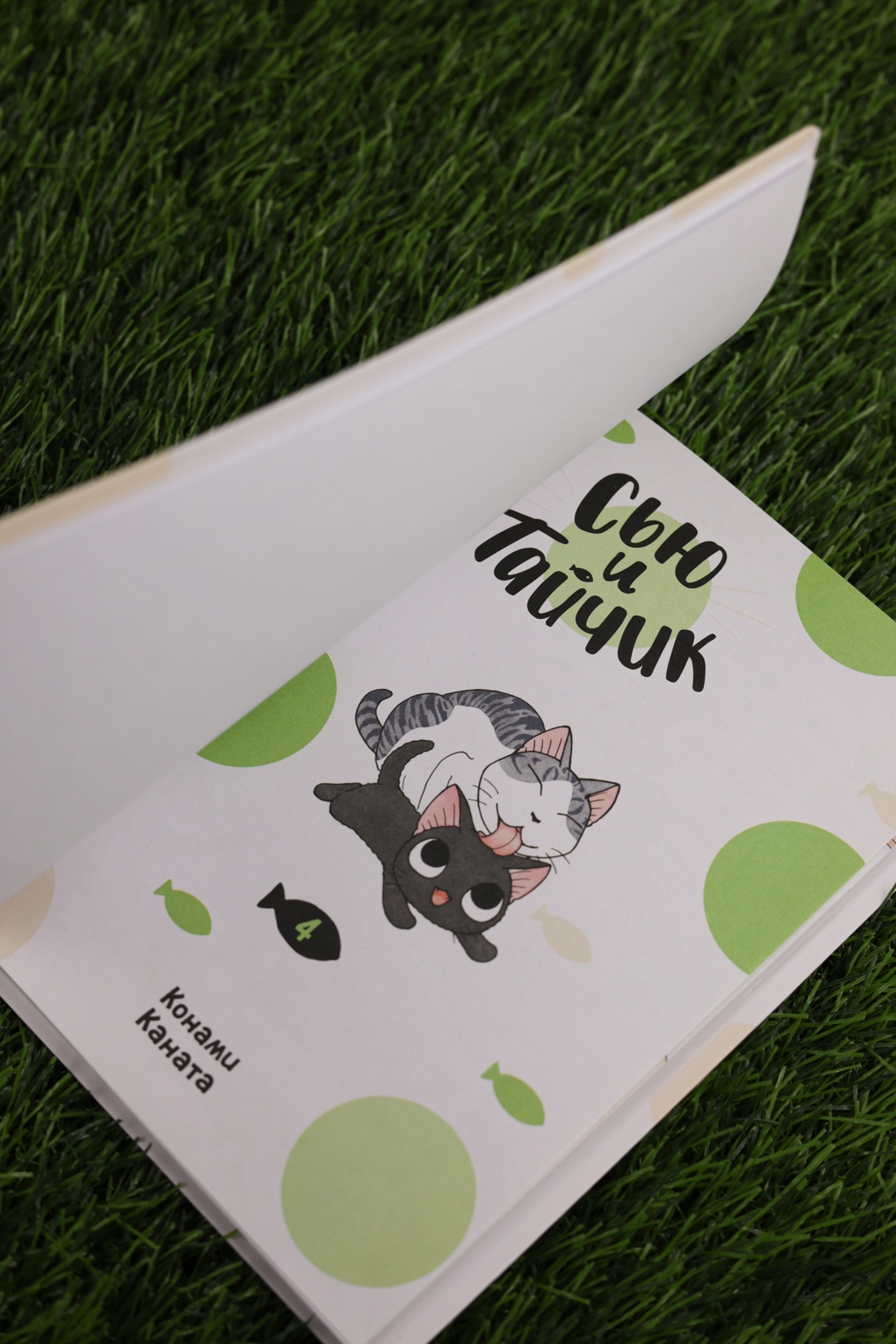 Промо материал к книге "Сью и Тайчик. Книга 4" №8