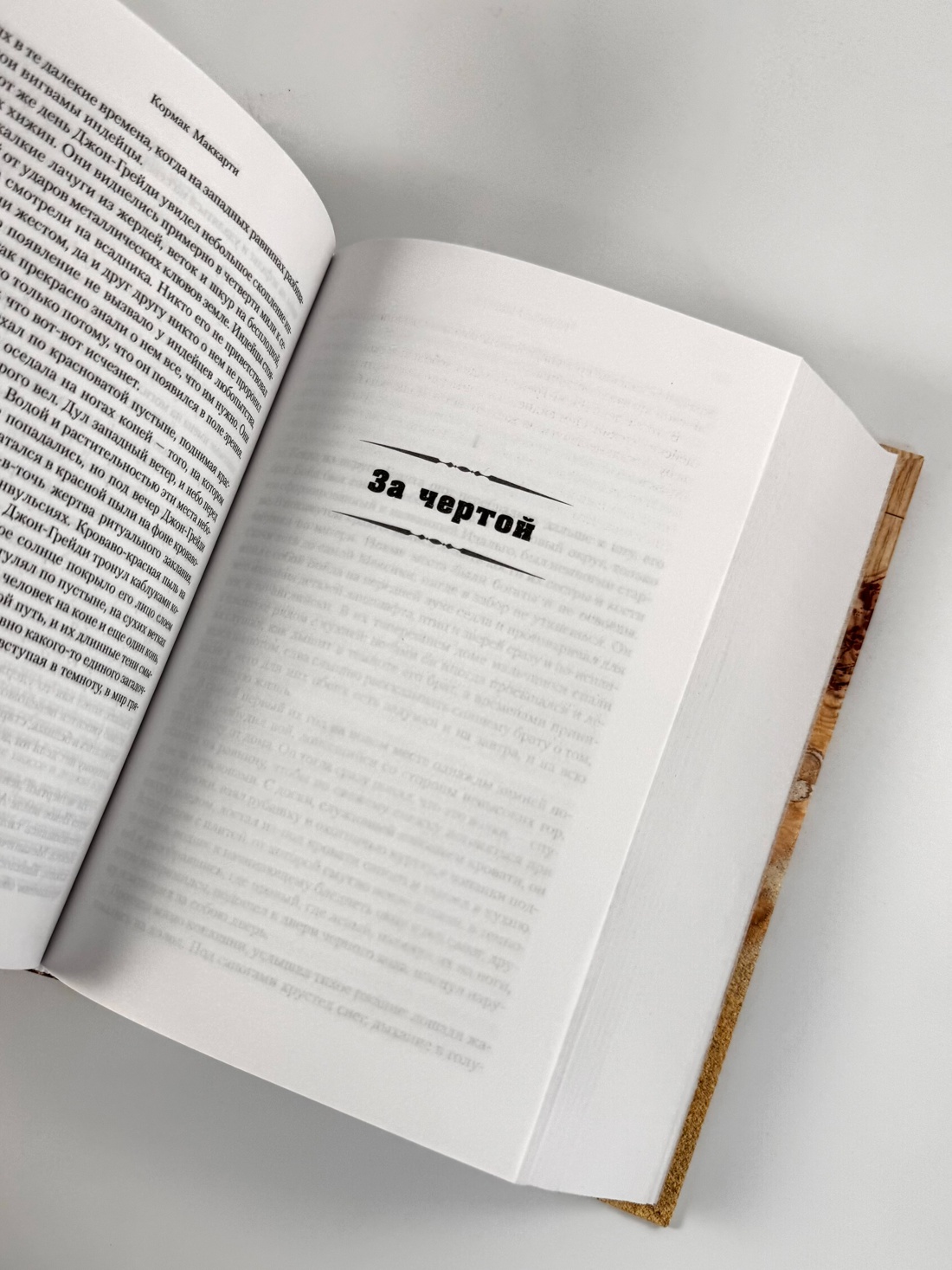 Промо материал к книге "Пограничная трилогия" №7