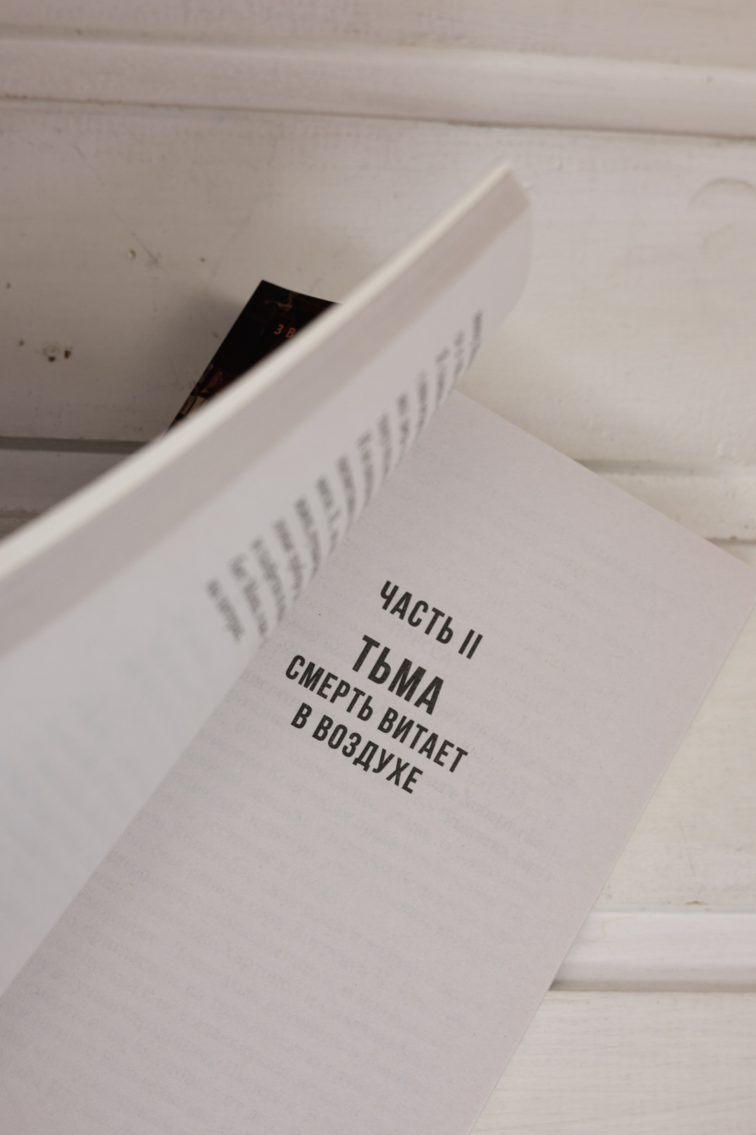 Промо материал к книге "Читатель предупрежден" №6