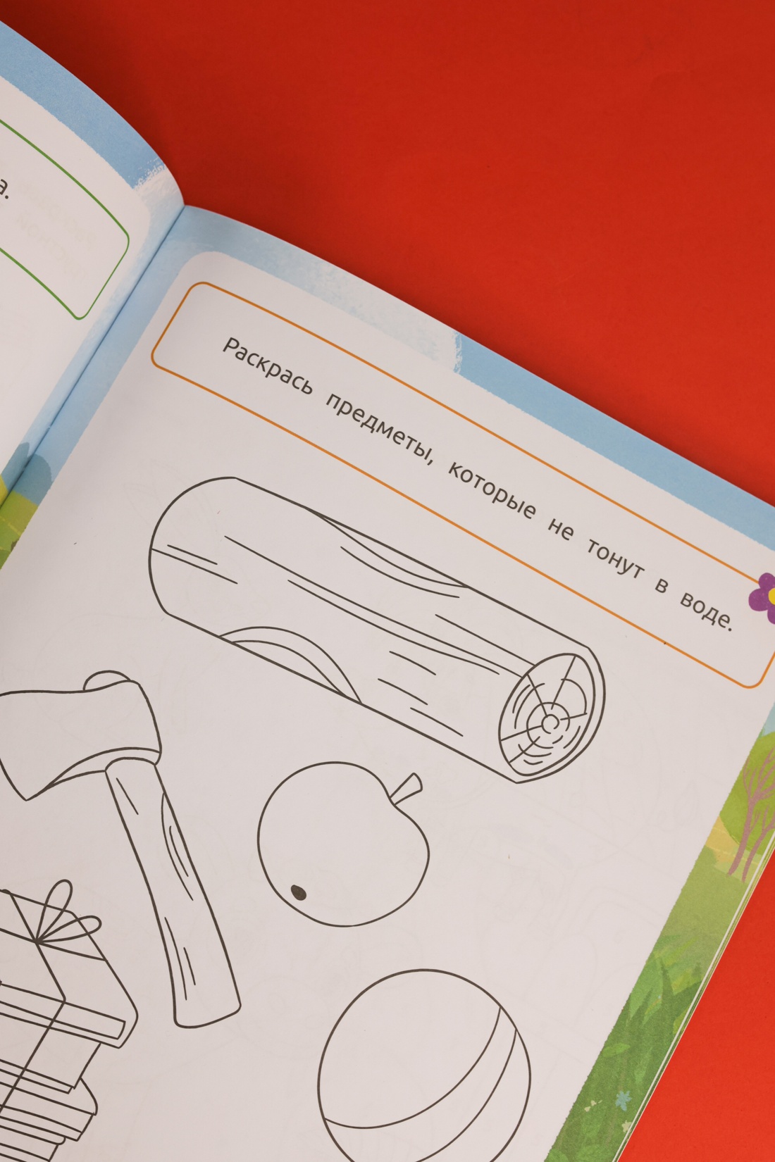 Промо материал к книге "Ася и Вася. Умные раскраски. Цвета природы" №8