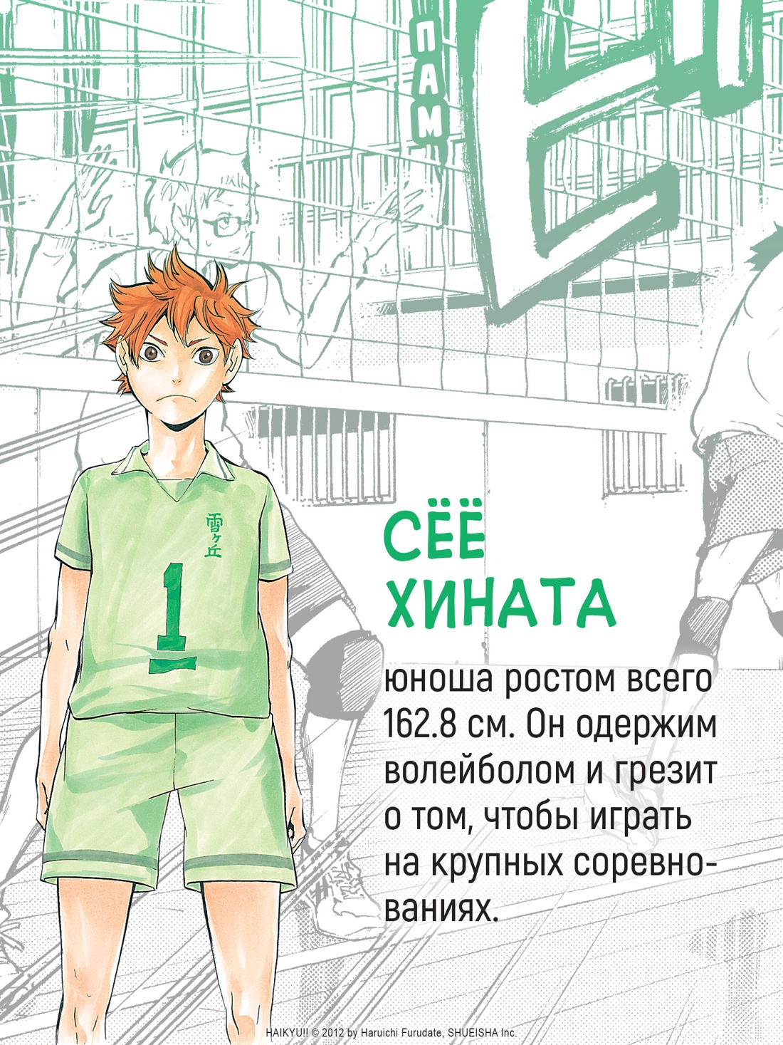 Промо материал к книге "Волейбол! Книга 1. Хината и Кагэяма. Вид с высоты" №2