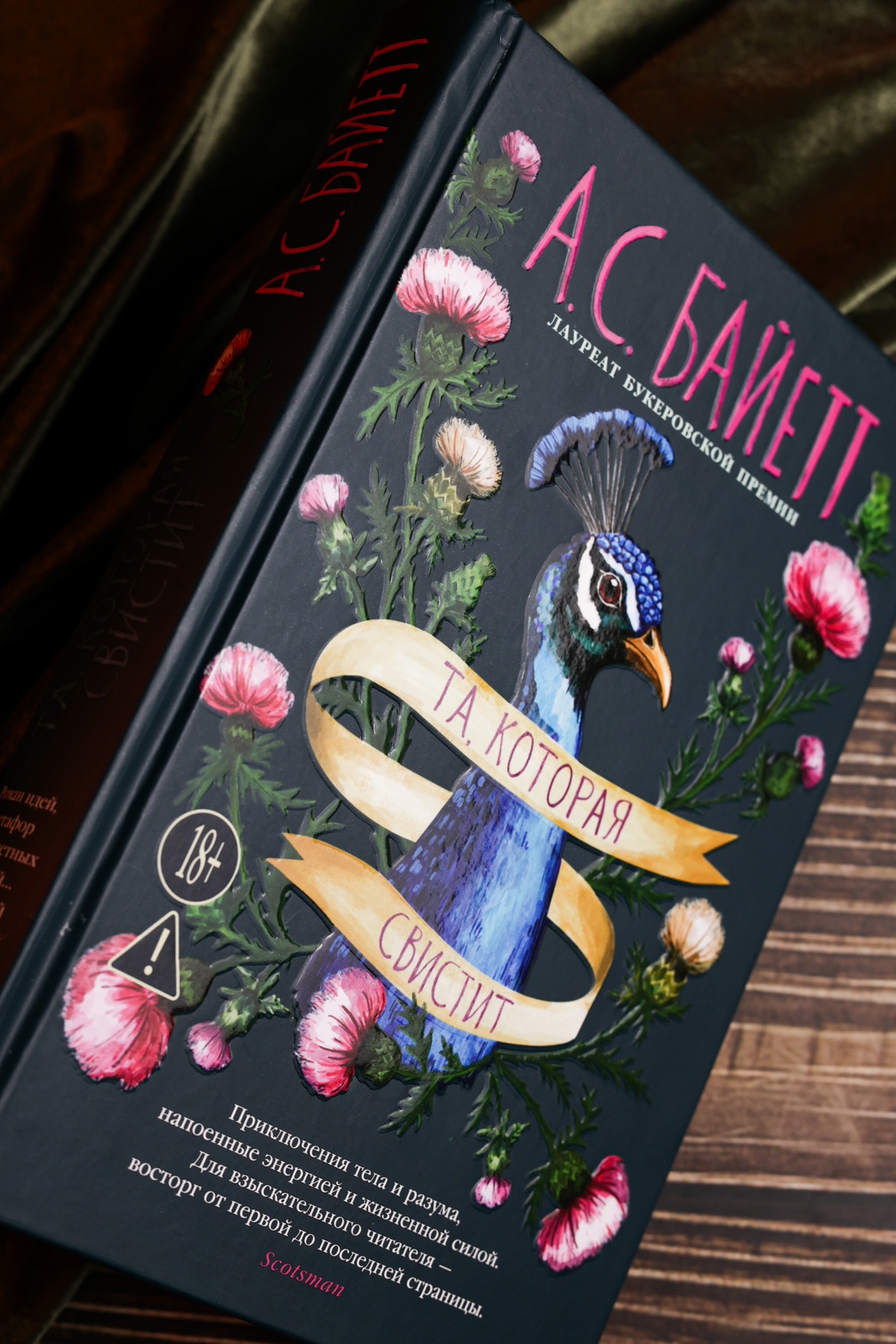 Промо материал к книге "Та, которая свистит" №9