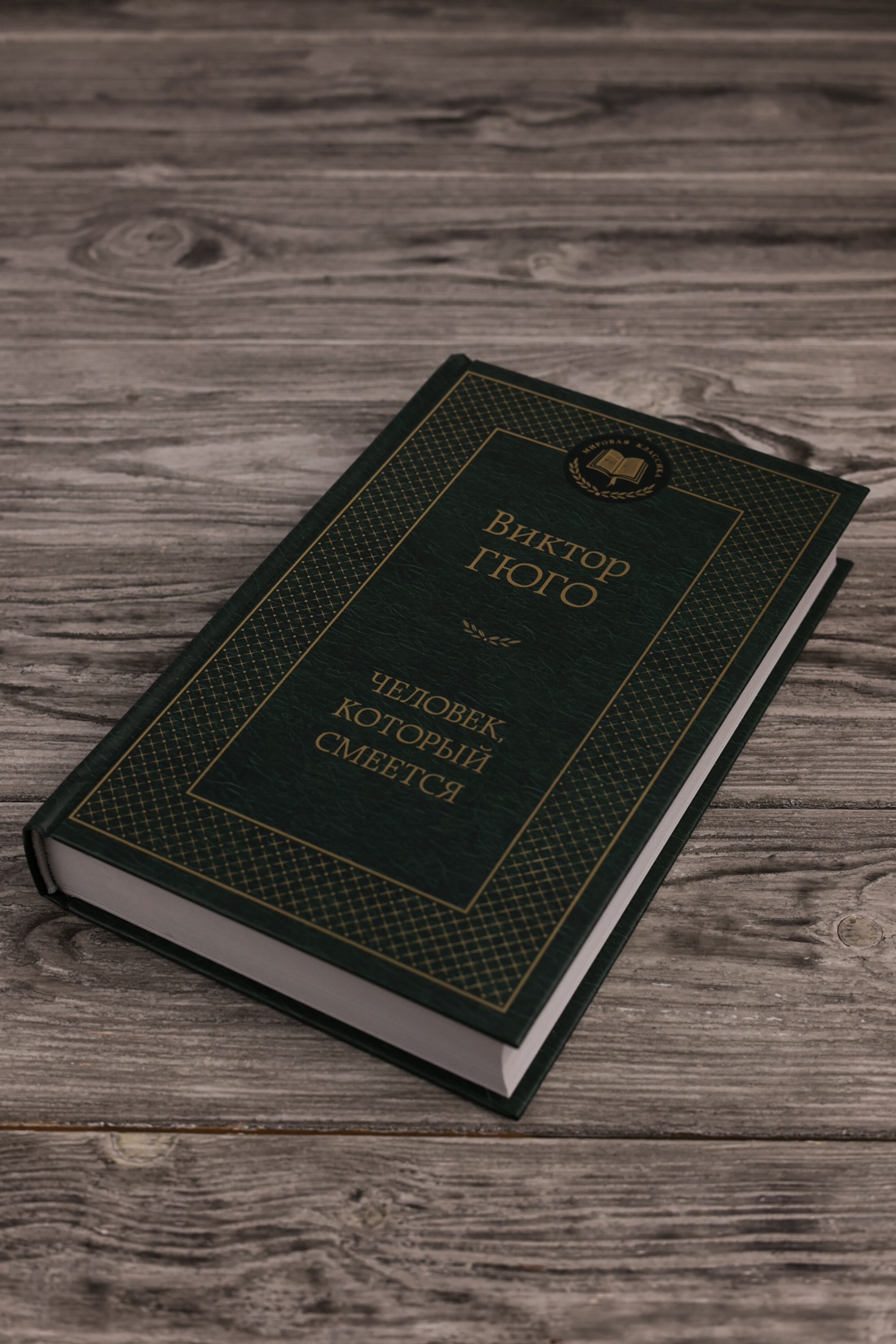 Промо материал к книге "Человек, который смеется (твердый)" №3