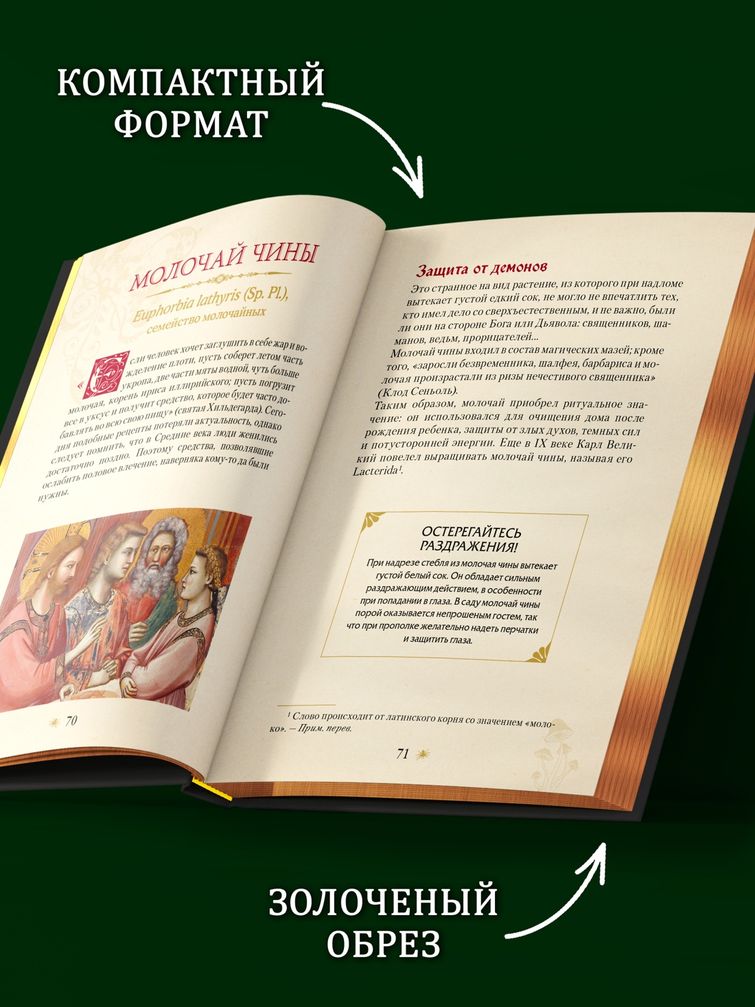 Промо материал к книге "Яды. Секретная сила растений" №3