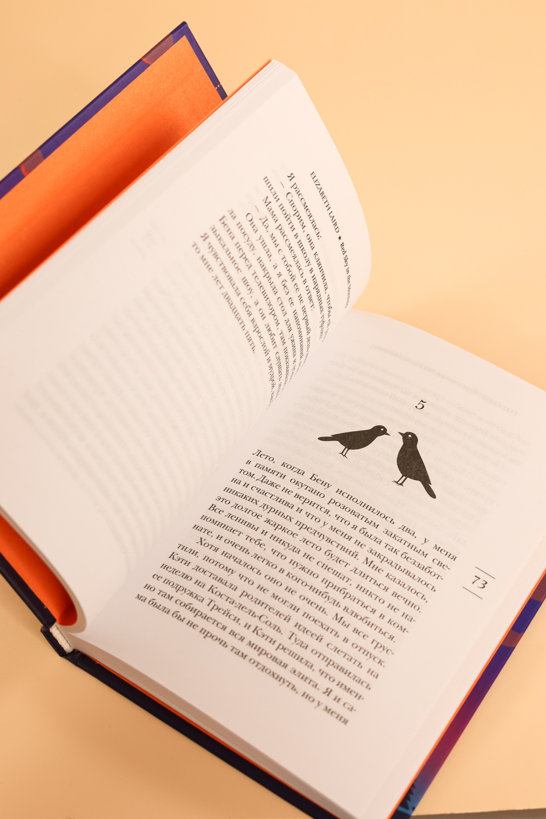 Промо материал к книге "Алое небо рассвета" №10