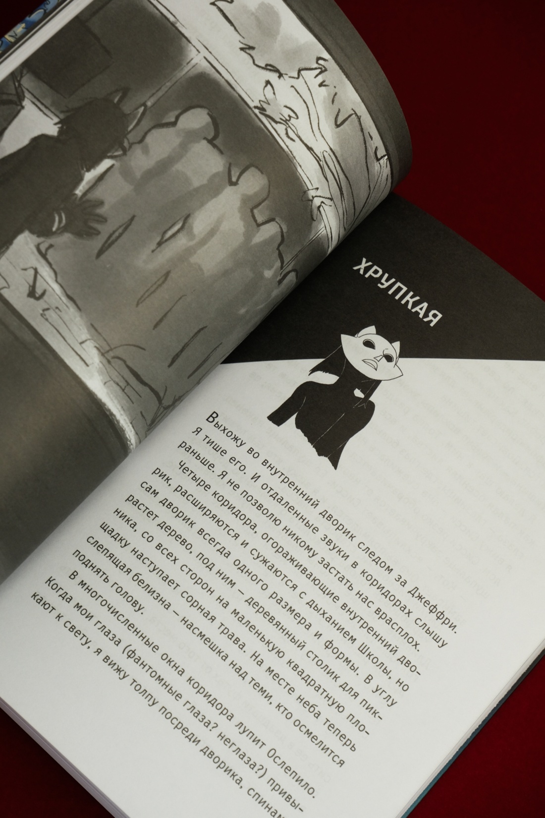 Промо материал к книге "Вопль кошки" №16