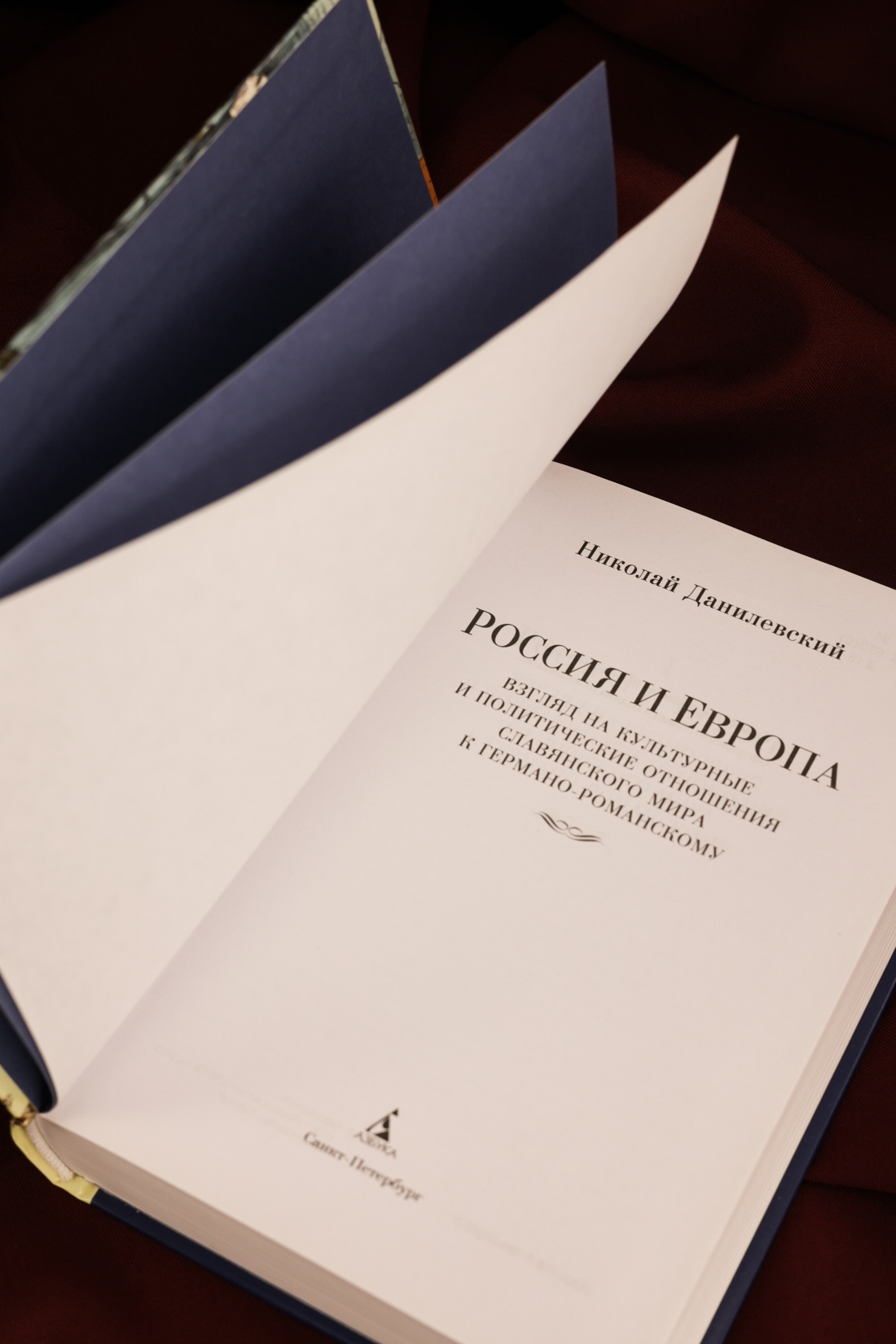 Промо материал к книге "Россия и Европа (твердый)" №9