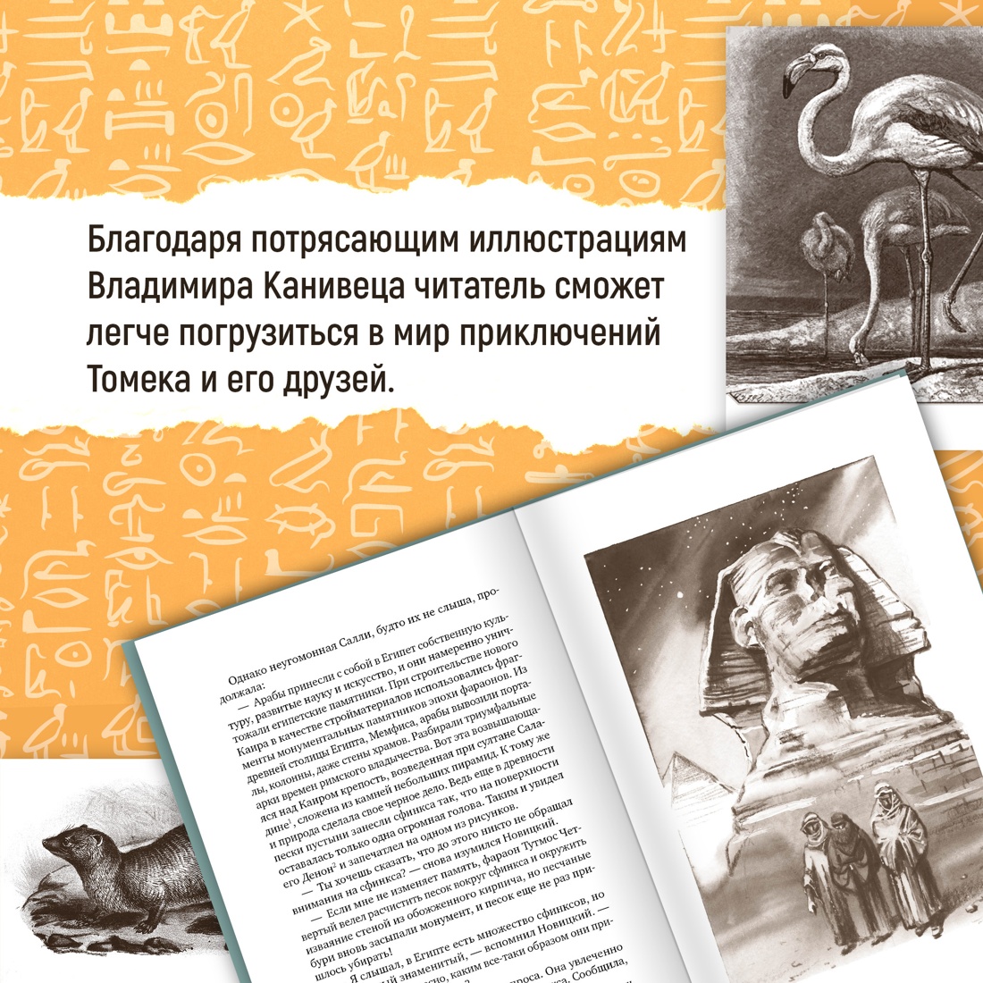Промо материал к книге "Томек в стране фараонов" №2