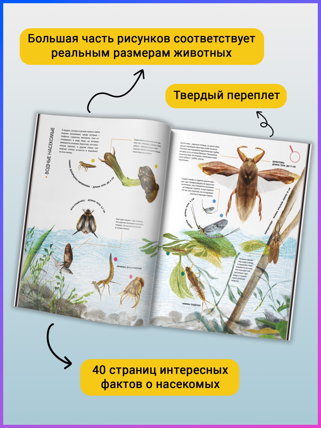 Промо материал к книге "Насекомые в натуральную величину" №2