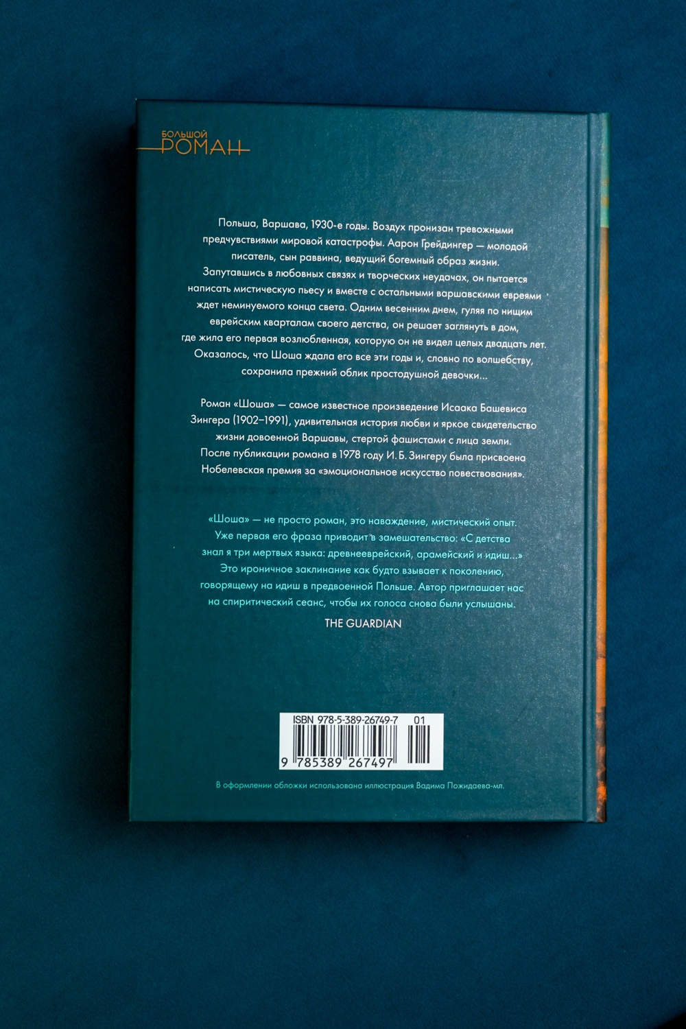 Промо материал к книге "Шоша (твердый)" №9