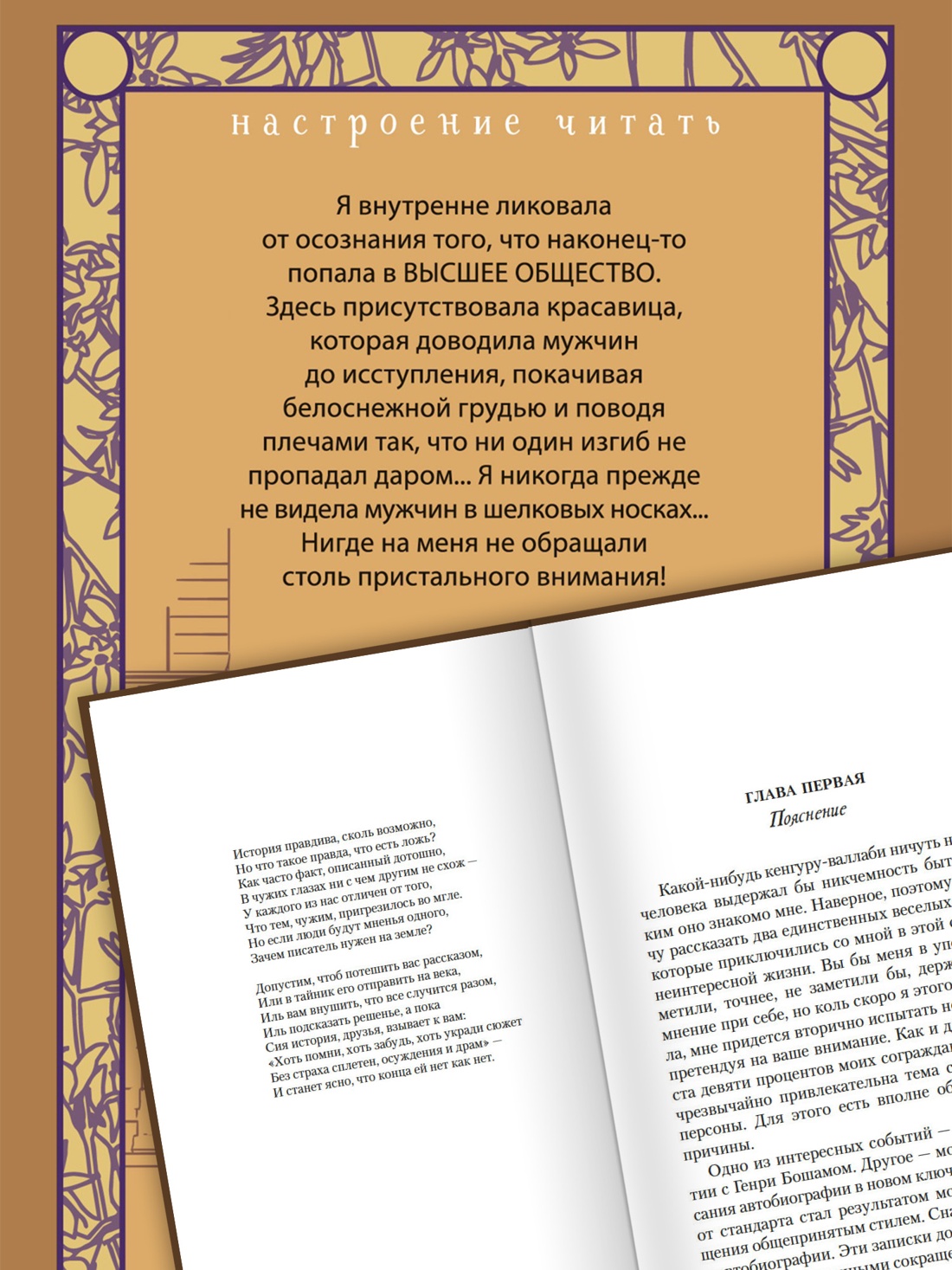 Промо материал к книге "Моя карьера терпит крах" №2