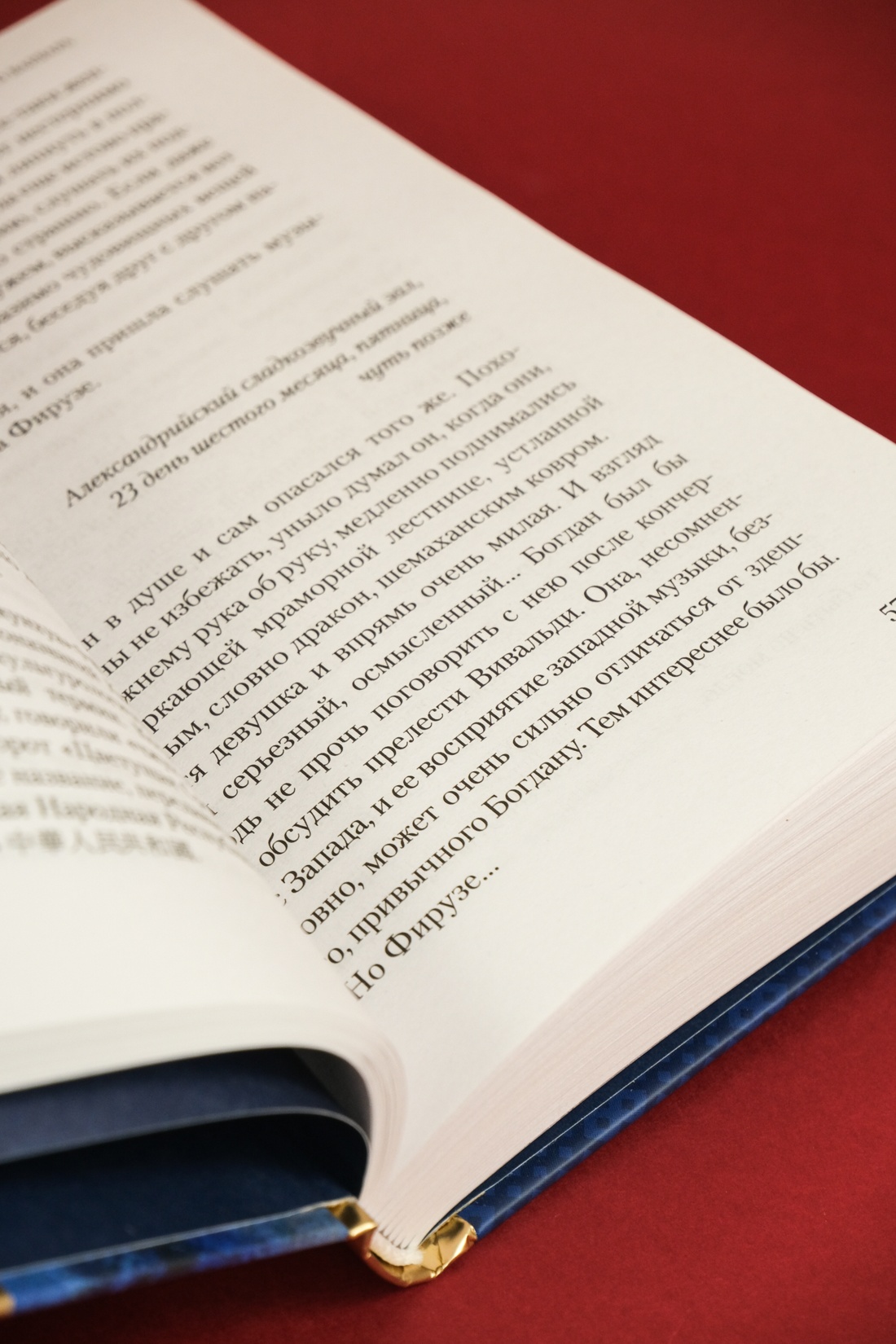 Промо материал к книге "Дело жадного варвара" №14