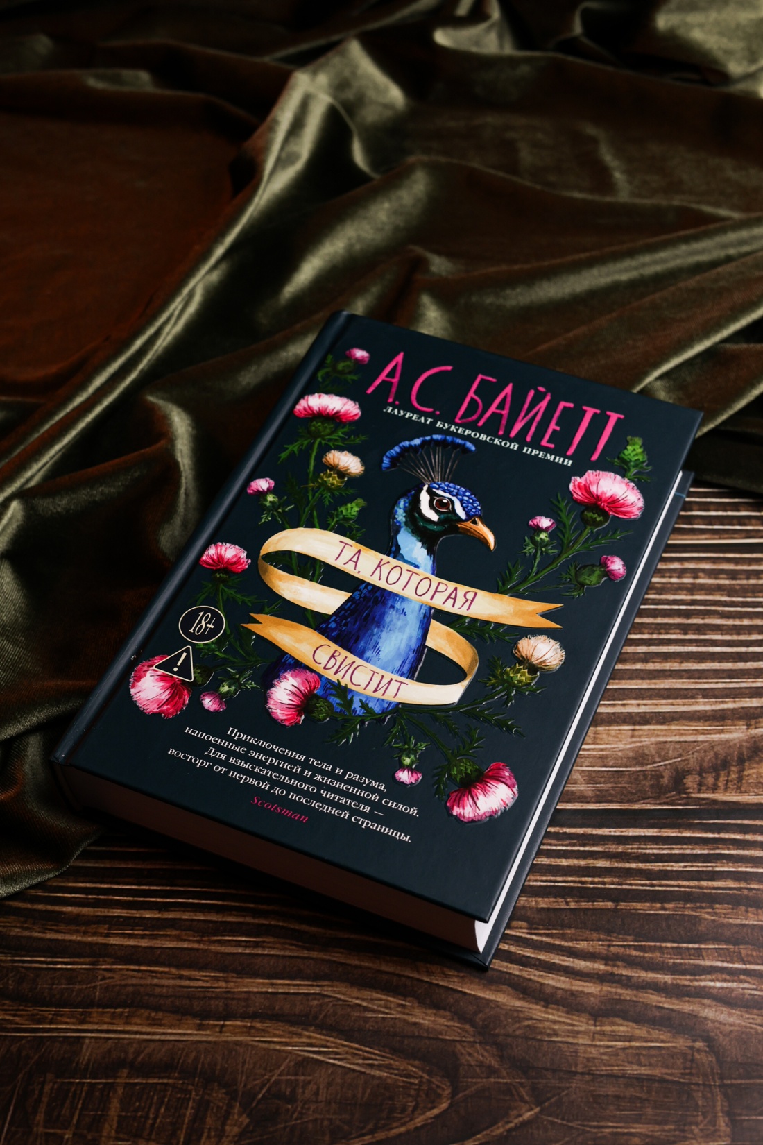 Промо материал к книге "Та, которая свистит" №11