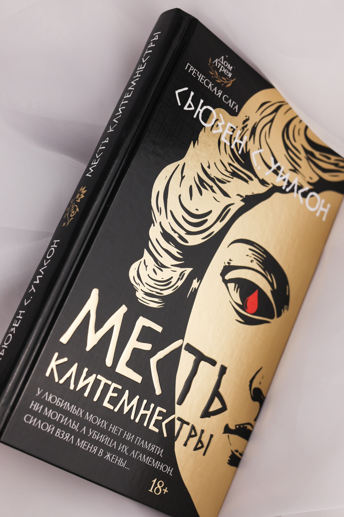 Промо материал к книге "Месть Клитемнестры" №6