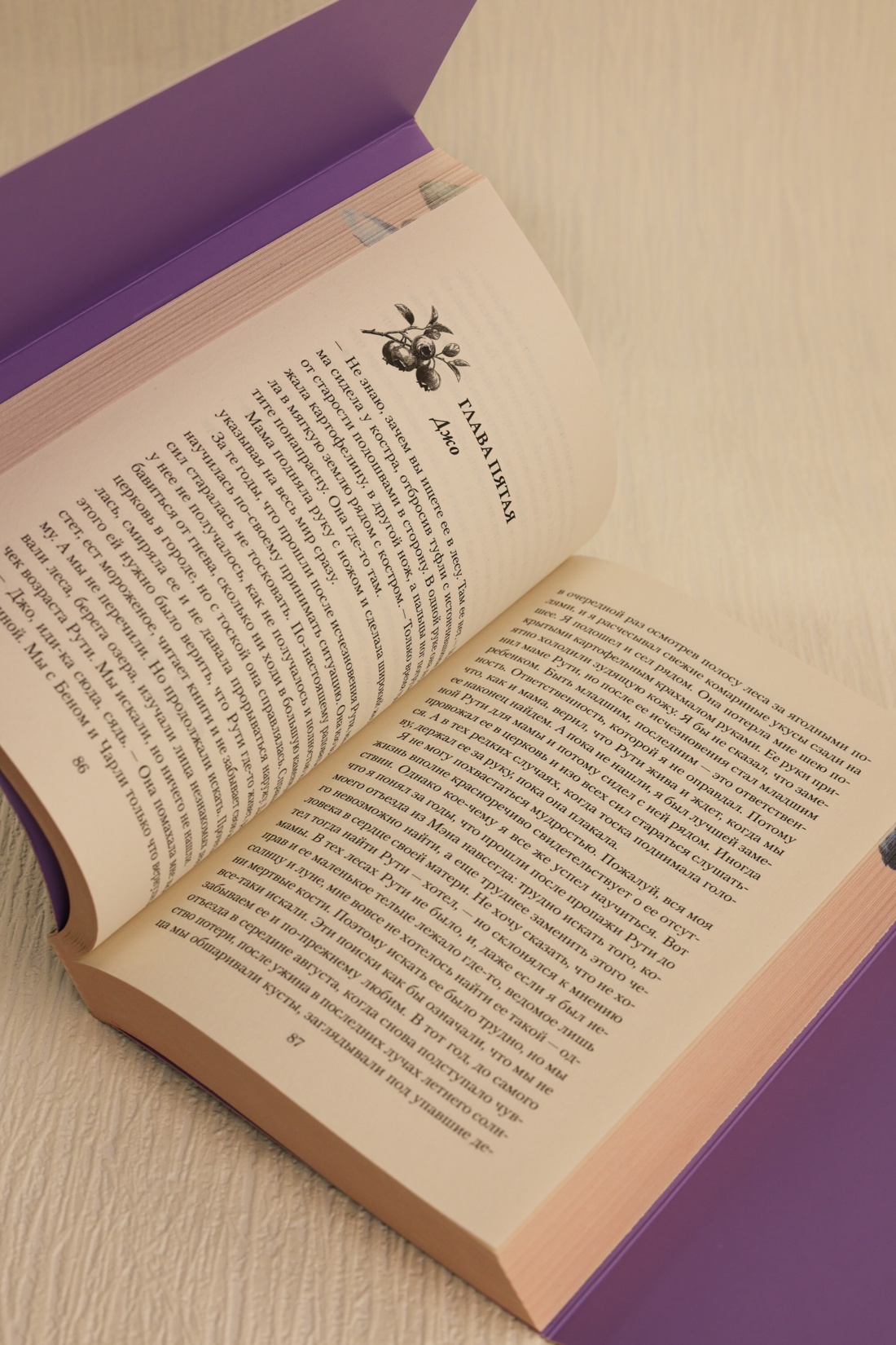 Промо материал к книге "Сборщики ягод" №12