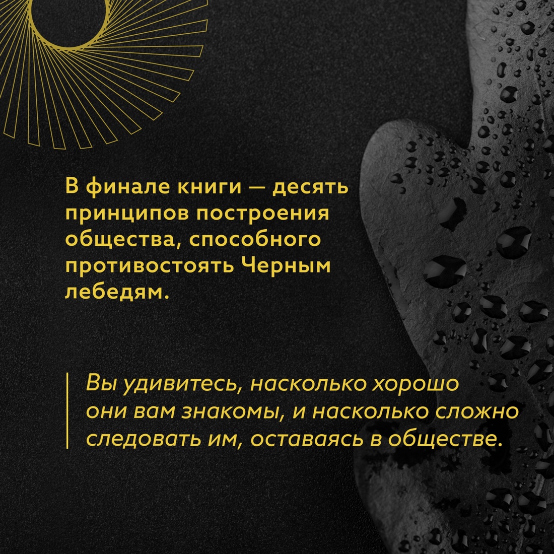 Промо материал к книге "Талеб. Черный лебедь. Одураченные случайностью.Комплект из 2-х книг с ежедневником" №6