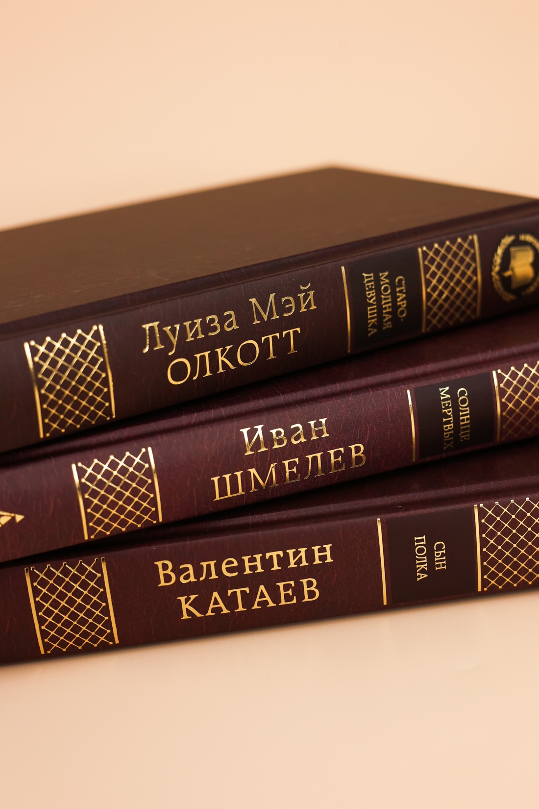 Промо материал к книге "Государство и революция (твердый)" №3