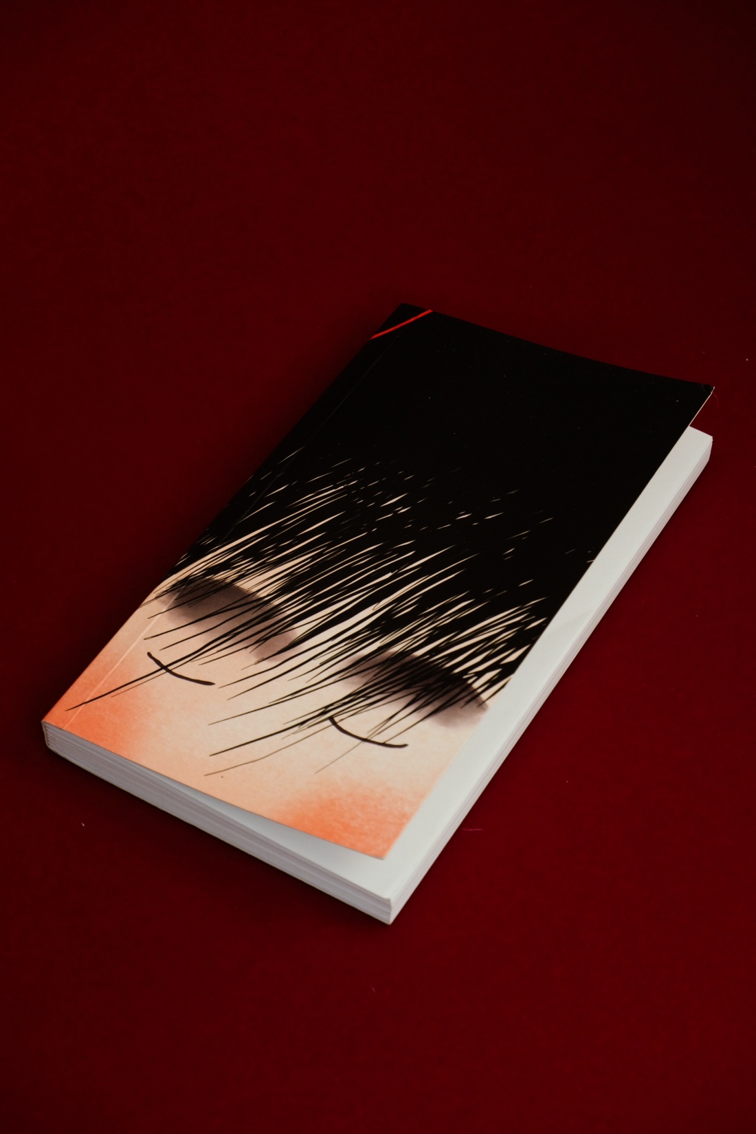 Промо материал к книге "Порез (в суперобложке)" №9