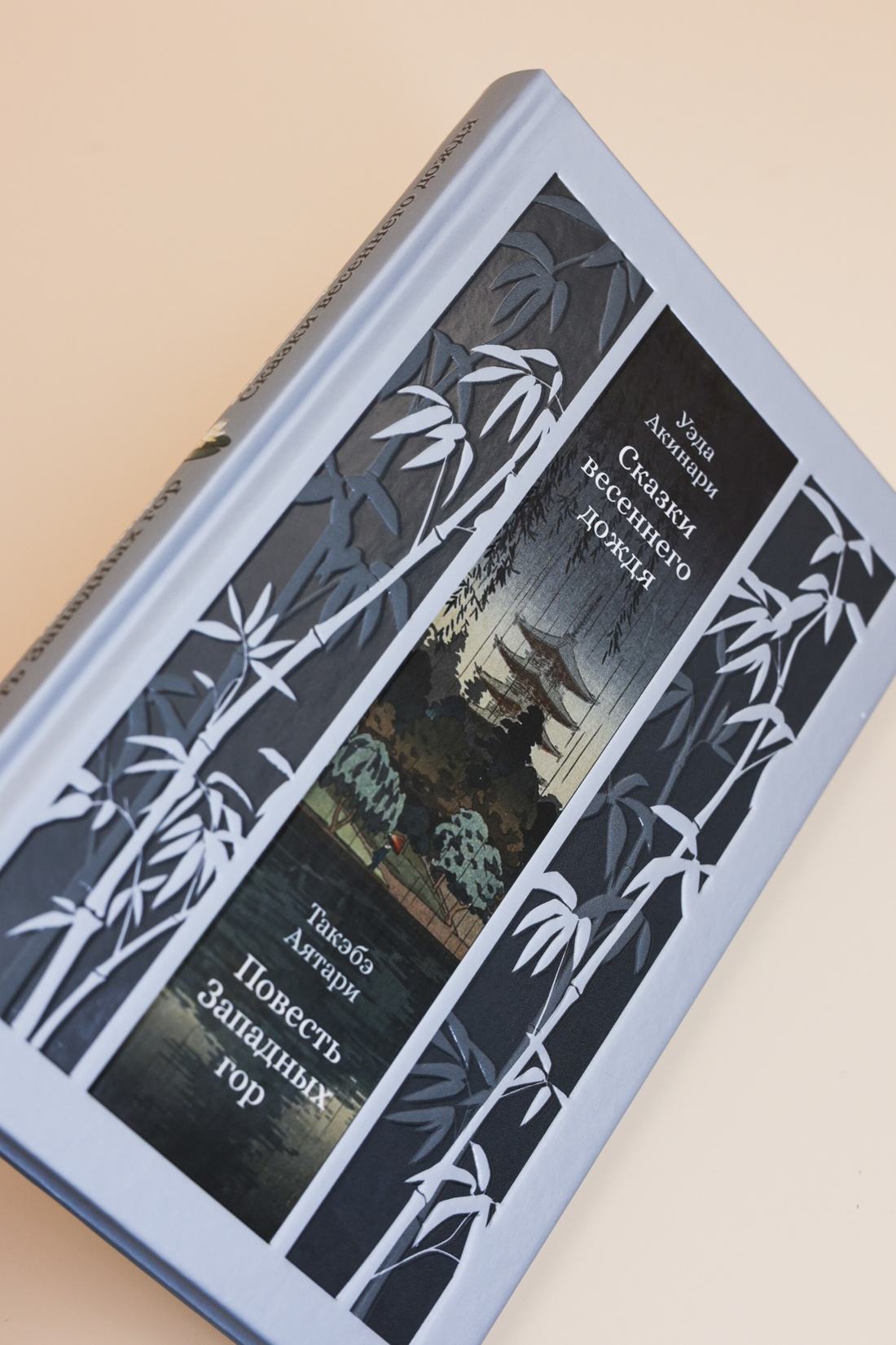 Промо материал к книге "Сказки весеннего дождя. Повесть Западных гор" №5