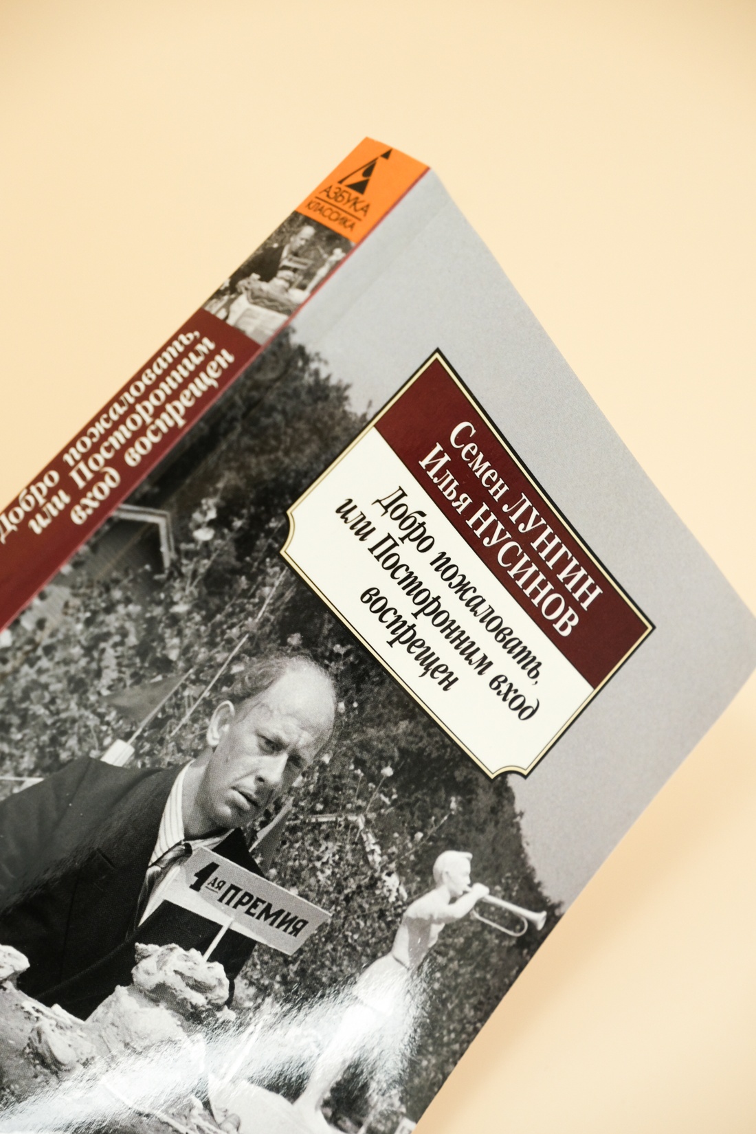 Промо материал к книге "Добро пожаловать, или Посторонним вход воспрещен" №1