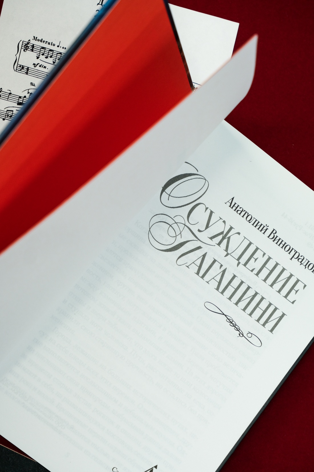 Промо материал к книге "Осуждение Паганини" №6